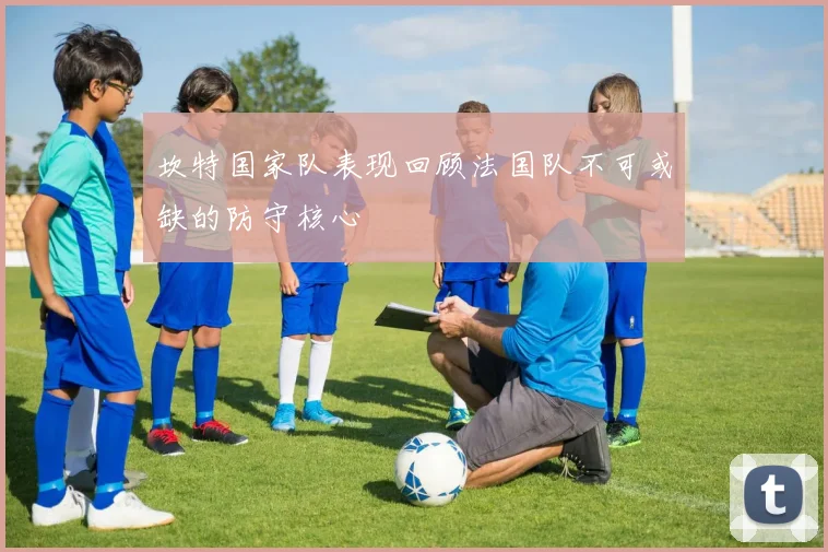 坎特国家队表现回顾法国队不可或缺的防守核心
