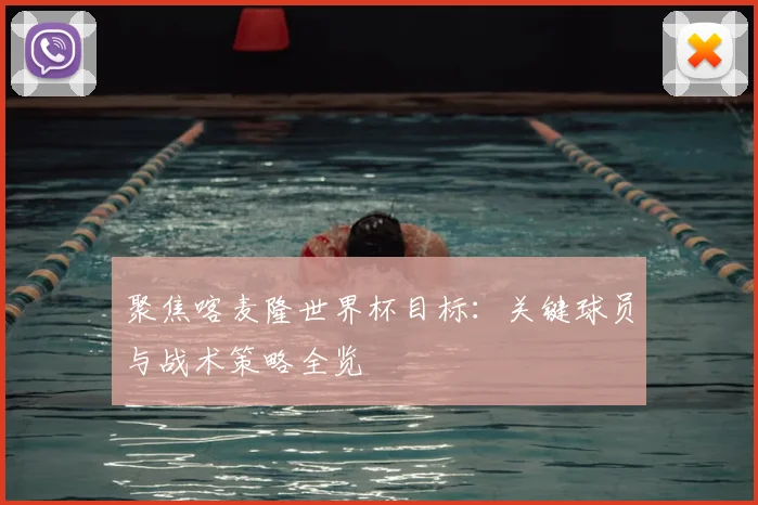 聚焦喀麦隆世界杯目标：关键球员与战术策略全览